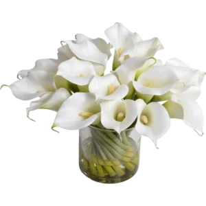 Calla Lily Arrangement