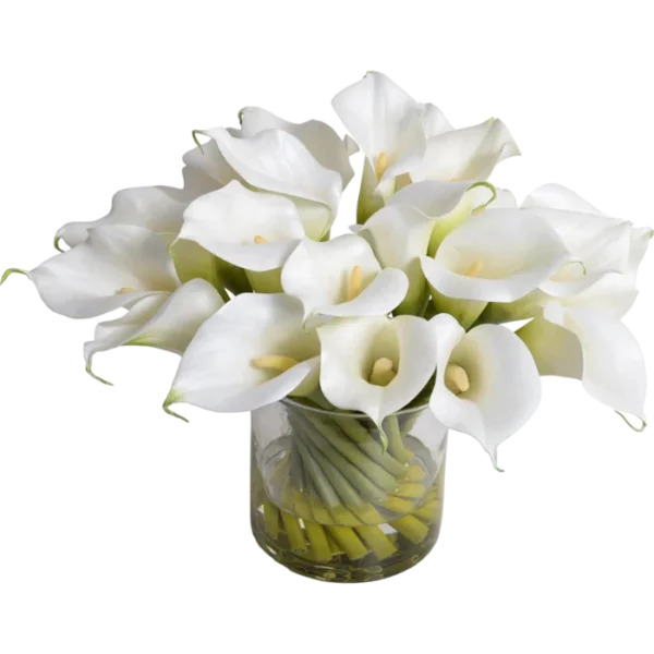 Calla Lily Arrangement