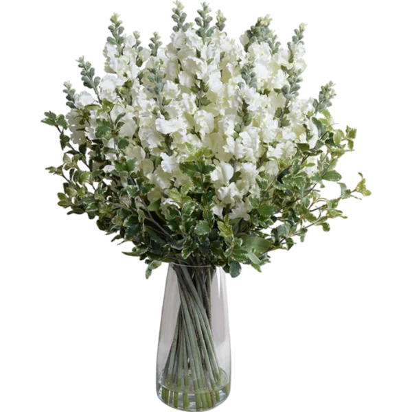 Snapdragon, Privet Arrangement