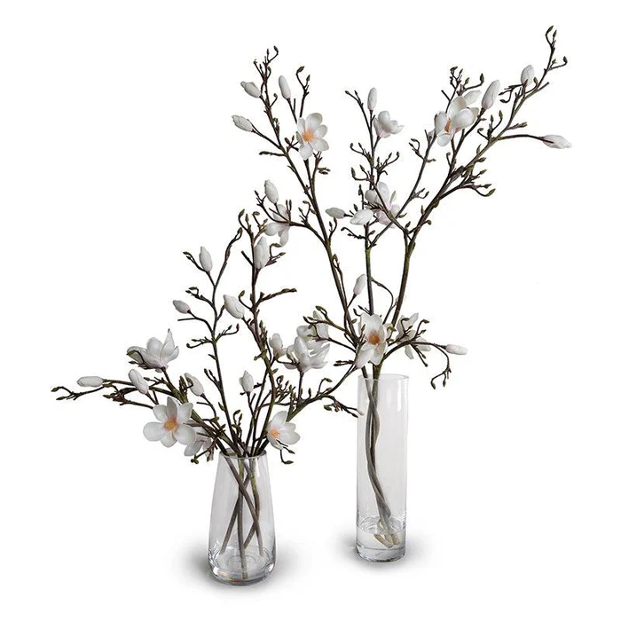 Tulip Magnolia in Glass - Image 3