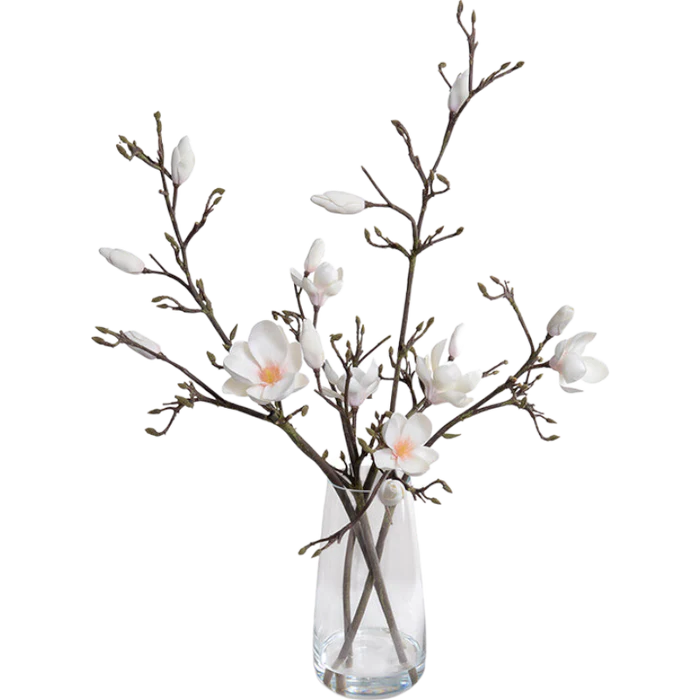 Tulip Magnolia in Glass - Image 4